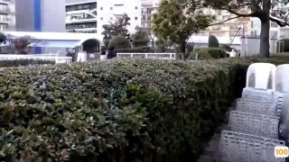 朝桐光一区二区三区,成人视频高清免费观看